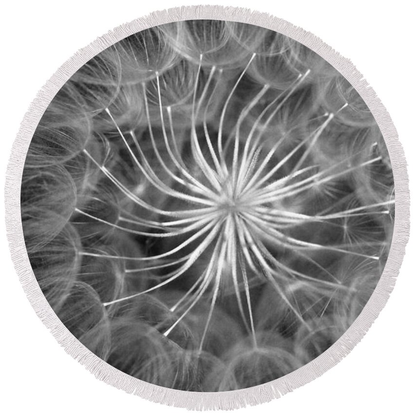 Nature Round Beach Towel featuring the photograph Black and White Dandelion 2 by Amy Fose