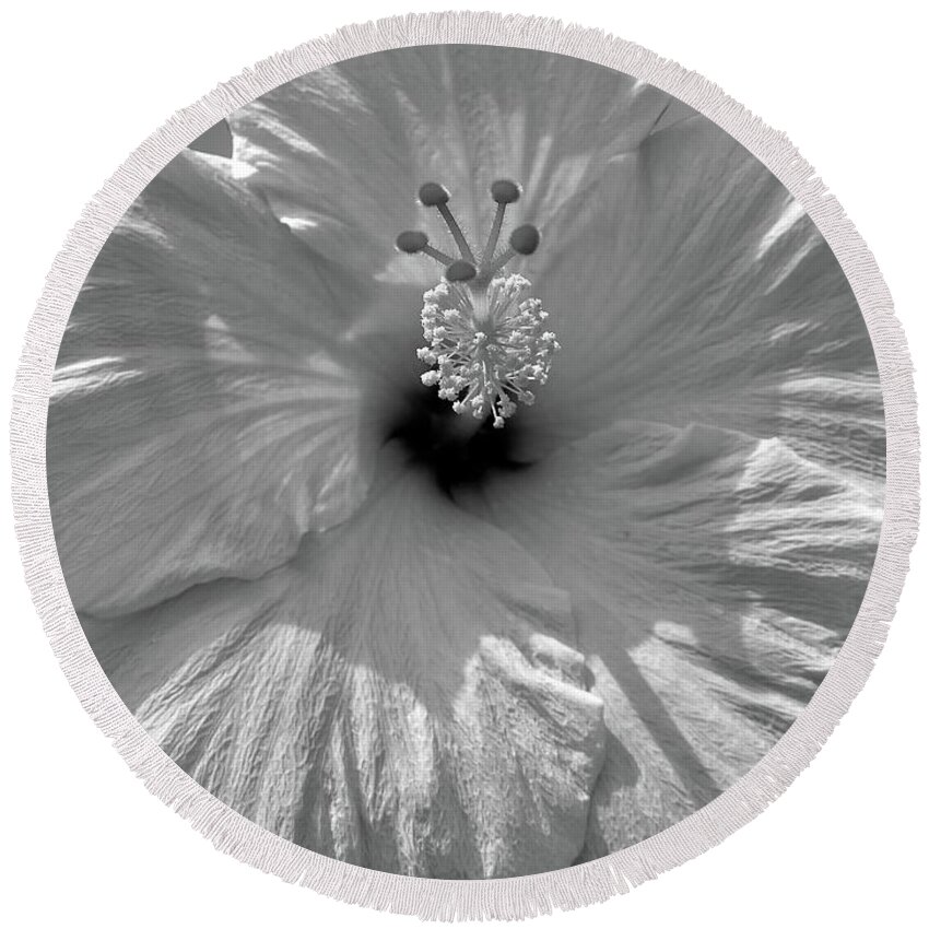 Flower Round Beach Towel featuring the photograph Black and White Hibiscus by Mafalda Cento