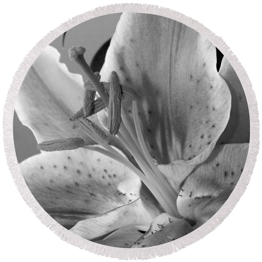 Lily Round Beach Towel featuring the photograph Black and White Lily 1 by Amy Fose