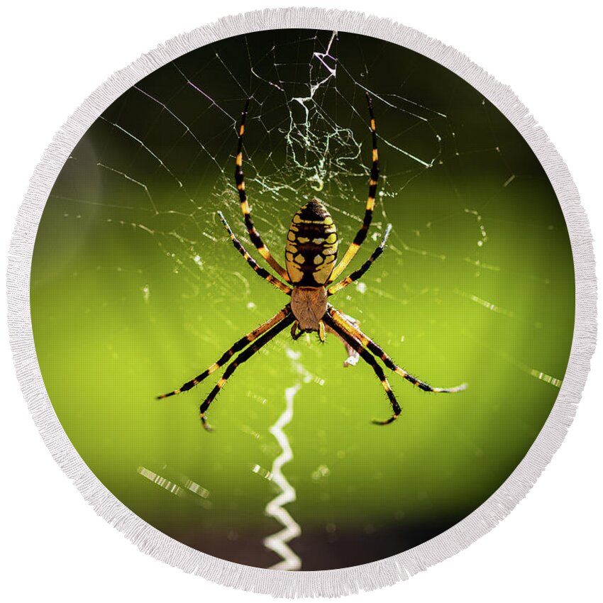 2020 Round Beach Towel featuring the photograph Black and Yellow Argiope by Charles Hite