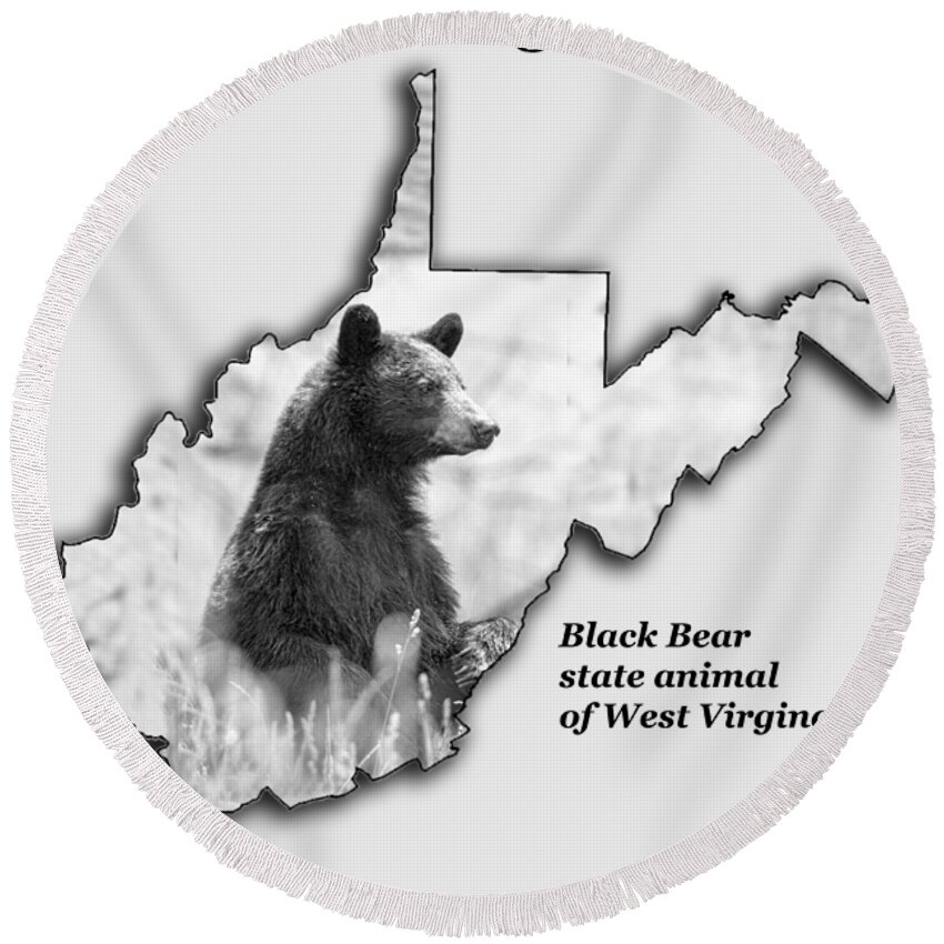 Black Bear Round Beach Towel featuring the photograph Black bear the State Animal of West Virginia by Daniel Friend