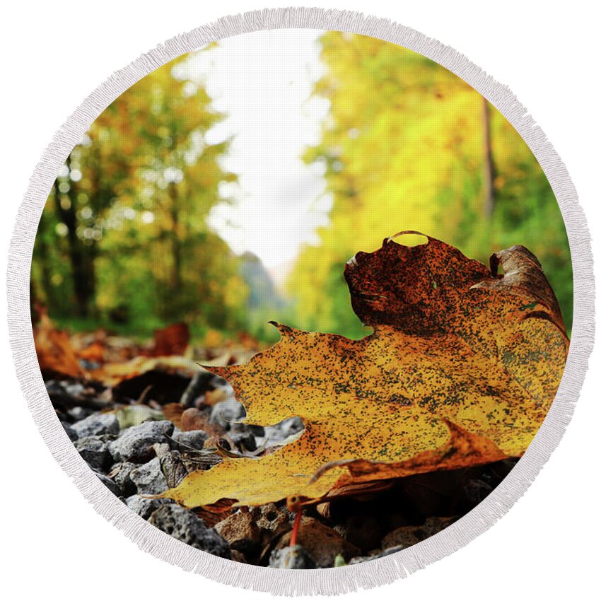 Acer Round Beach Towel featuring the photograph Black spotted yellow marple leaf on gravel road which surrounded forest, which playing many colors. Pinch of autumn in semptember by Vaclav Sonnek