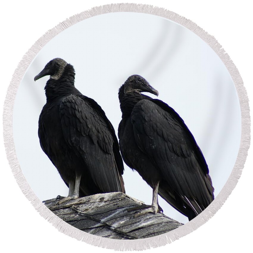  Round Beach Towel featuring the photograph Black Vultures by Heather E Harman