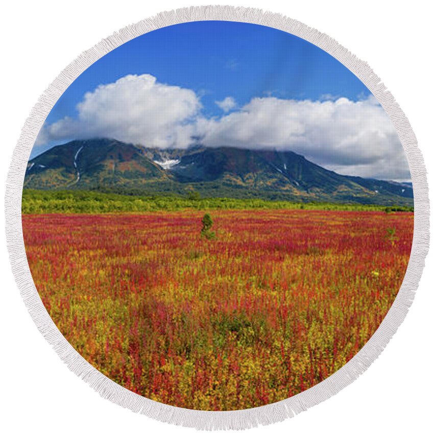 Flower Round Beach Towel featuring the photograph Blooming willow-herb near Vachkazhets by Mikhail Kokhanchikov