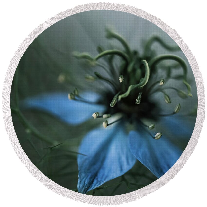 Flower Round Beach Towel featuring the photograph Blue Alien Flower by Ada Weyland