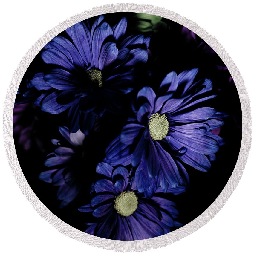 Blue Flowers Round Beach Towel featuring the photograph Blue Chrysanthemum by Darcy Dietrich