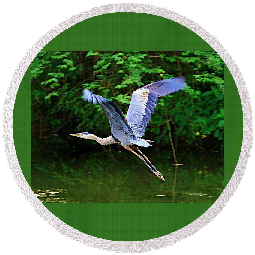 Blue Heron Round Beach Towel featuring the photograph Blue Heron in Flight by Mary Walchuck