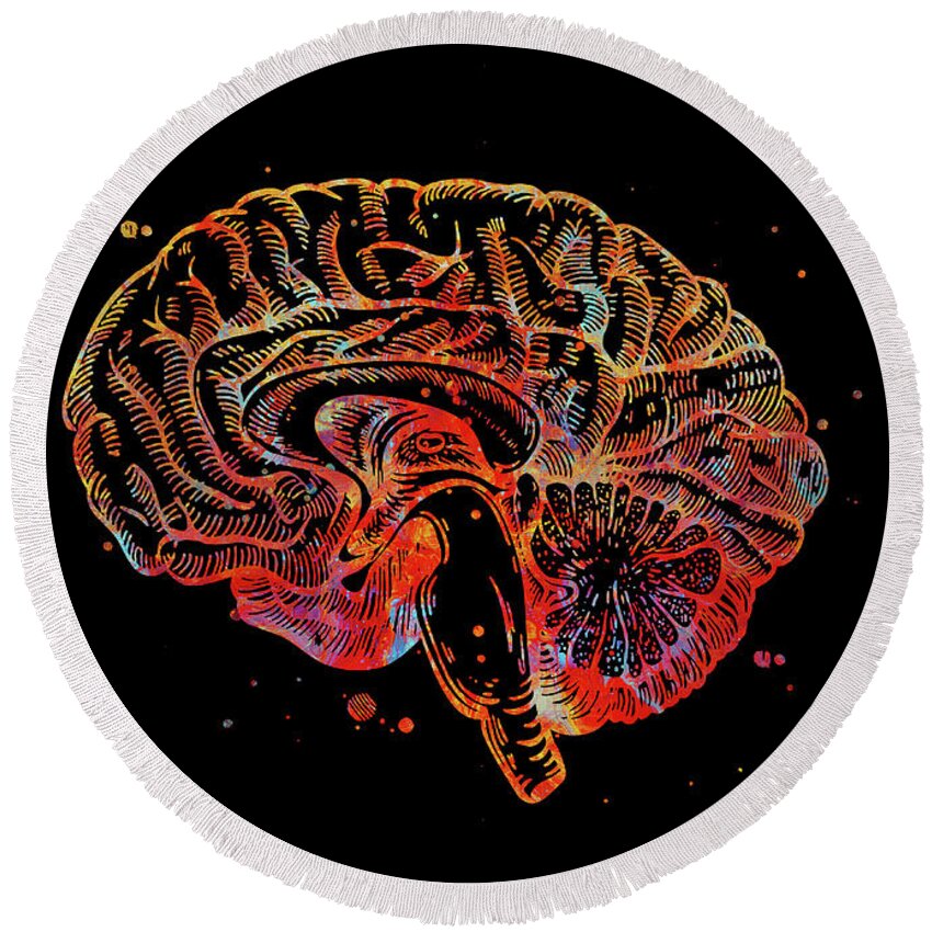 Brain Anatomy Cross Section Watercolor Print Human Brain Sagittal View ...
