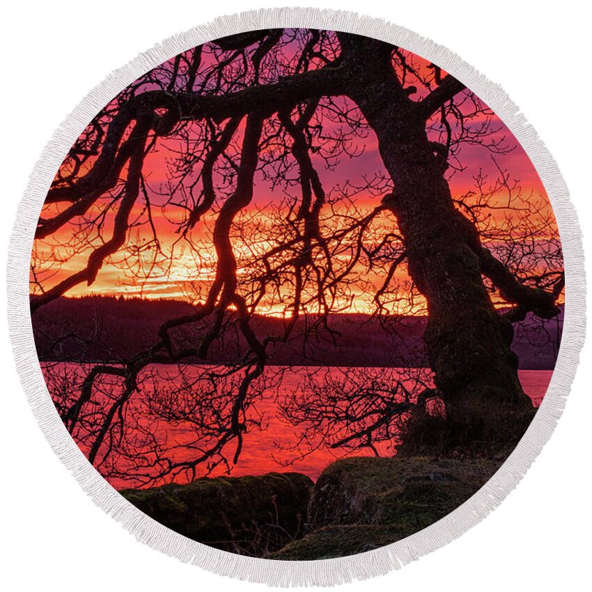 Sunset Round Beach Towel featuring the photograph Branches at sunset by Daniel Letford