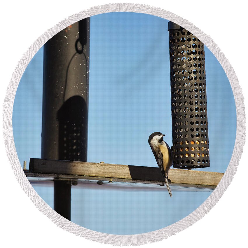 Breakfast Round Beach Towel featuring the photograph Breakfast at the bird feeder by Tatiana Travelways