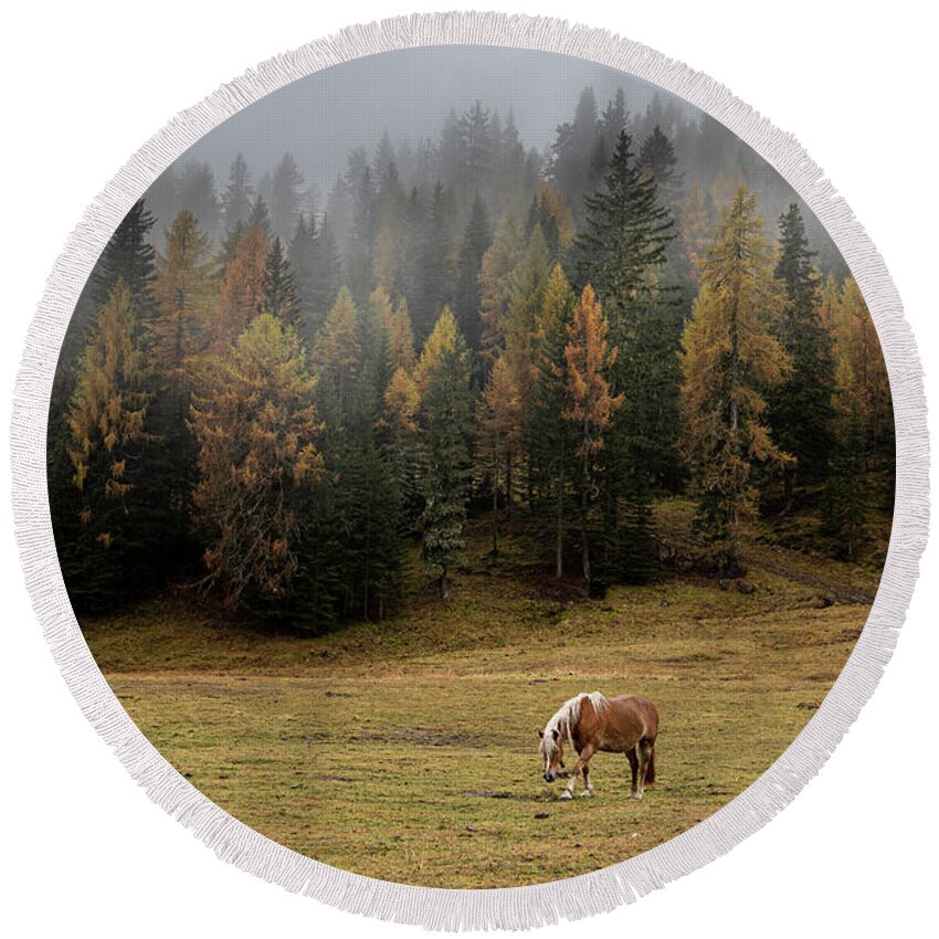 Idyllic Landscape Round Beach Towel featuring the photograph Brown and black horses in the field. South Tyrol Italy by Michalakis Ppalis