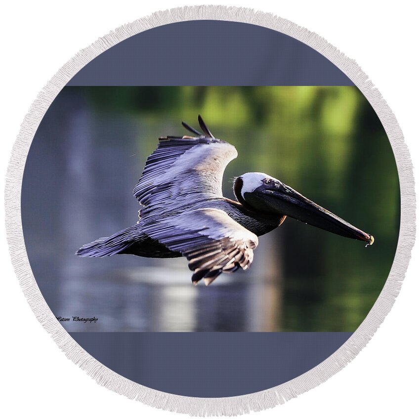 Pelican Round Beach Towel featuring the photograph Brown Pelican in Flight by Tahmina Watson