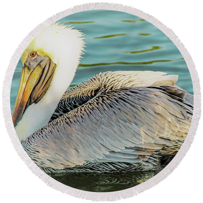 Pelican Round Beach Towel featuring the photograph Brown Pelican has Eyes on You by Joanne Carey