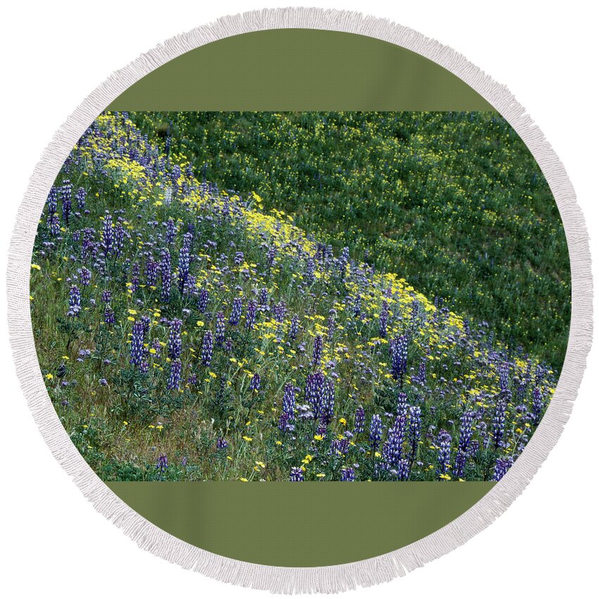Lupine Round Beach Towel featuring the photograph Bull Ridge - Sierra Madre Mountains by Soli Deo Gloria Wilderness And Wildlife Photography