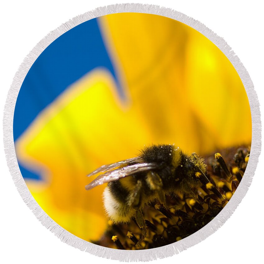 Bumblebee Round Beach Towel featuring the digital art Bumblebee by Geir Rosset