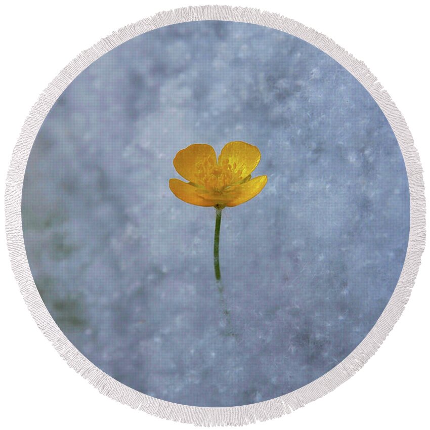 Buttercup Round Beach Towel featuring the photograph Buttercup by Ryan Workman Photography