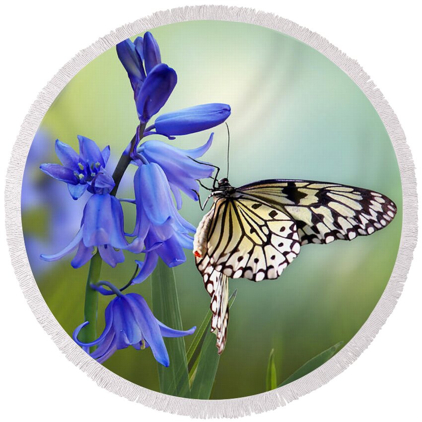 Bluebells Round Beach Towel featuring the mixed media Butterfly and Bluebell Dreams by Morag Bates