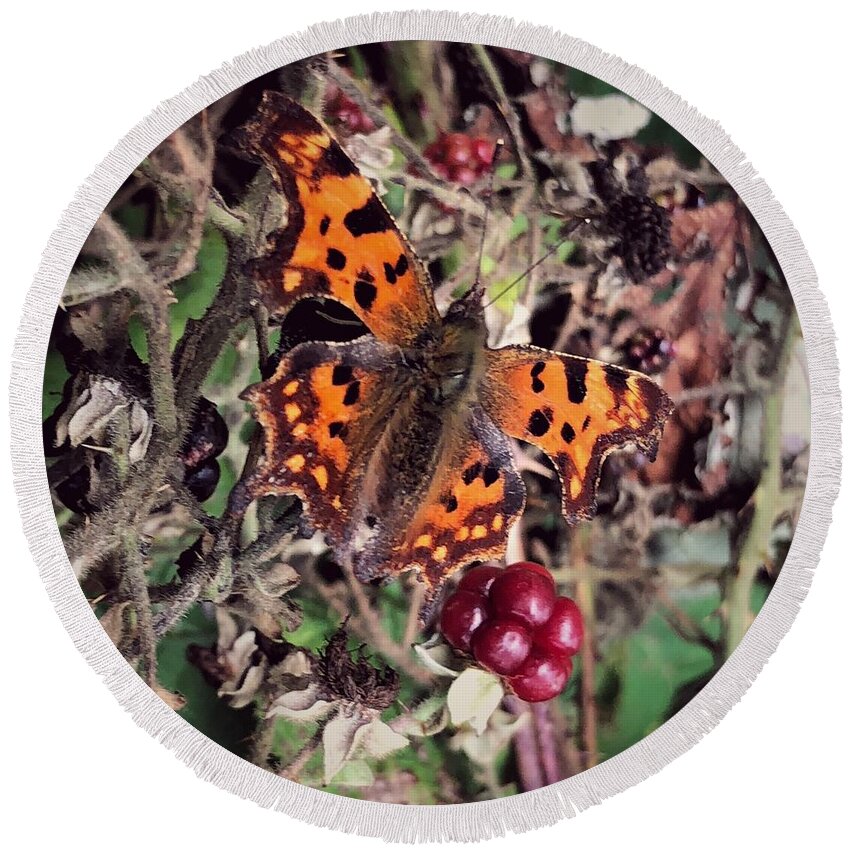 Butterfly Round Beach Towel featuring the photograph Butterfly on Fruit by Mark Egerton