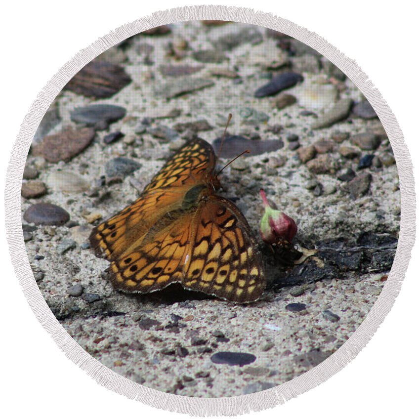 Butterfly Round Beach Towel featuring the photograph Butterfly on the Sidewalk by Christopher Reed