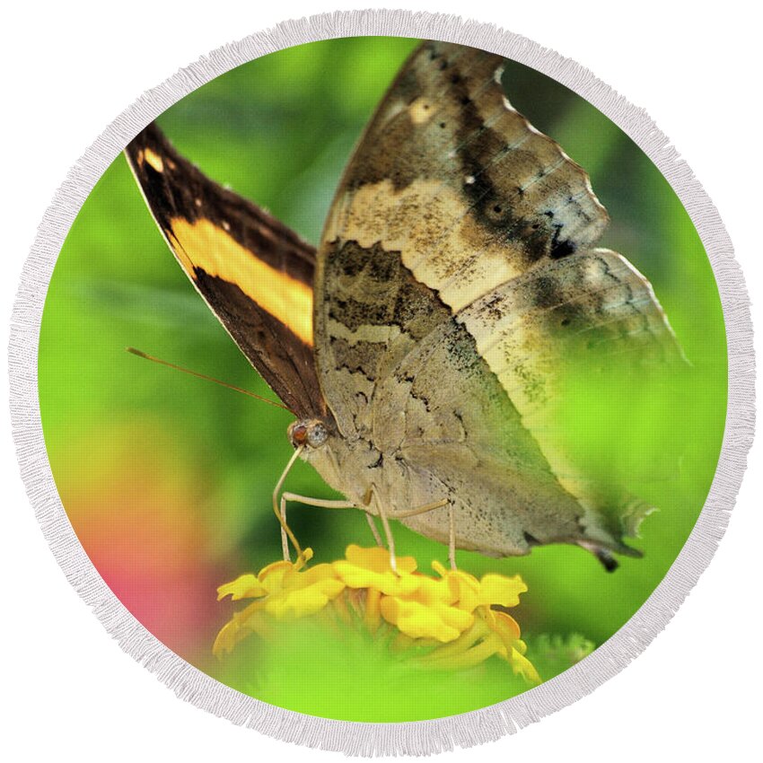 Palawan Round Beach Towel featuring the photograph Butterfly on Yellow Flower by David Desautel