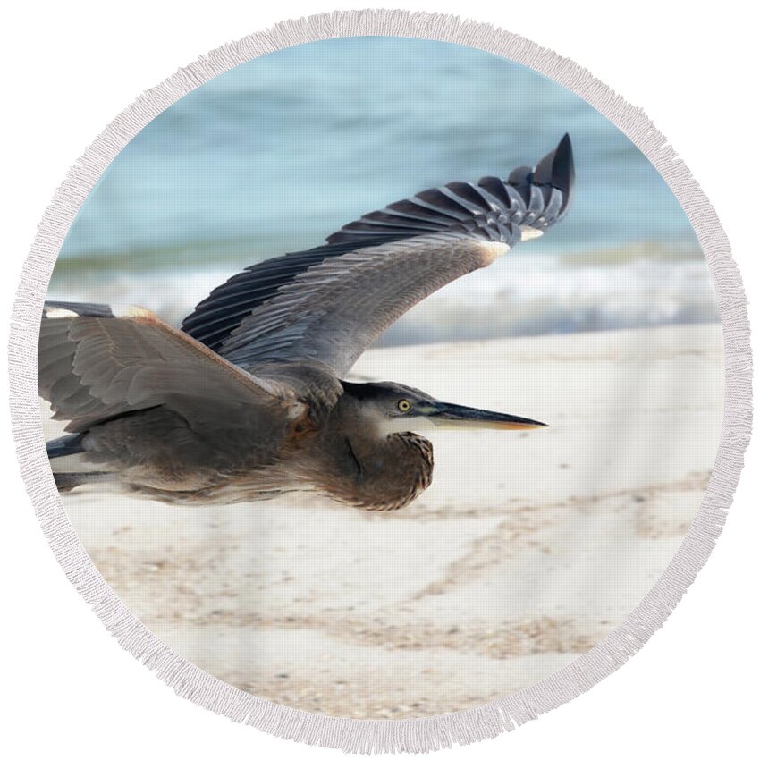 Great Blue Heron Round Beach Towel featuring the photograph Buzzing the Beach by Susan Rissi Tregoning