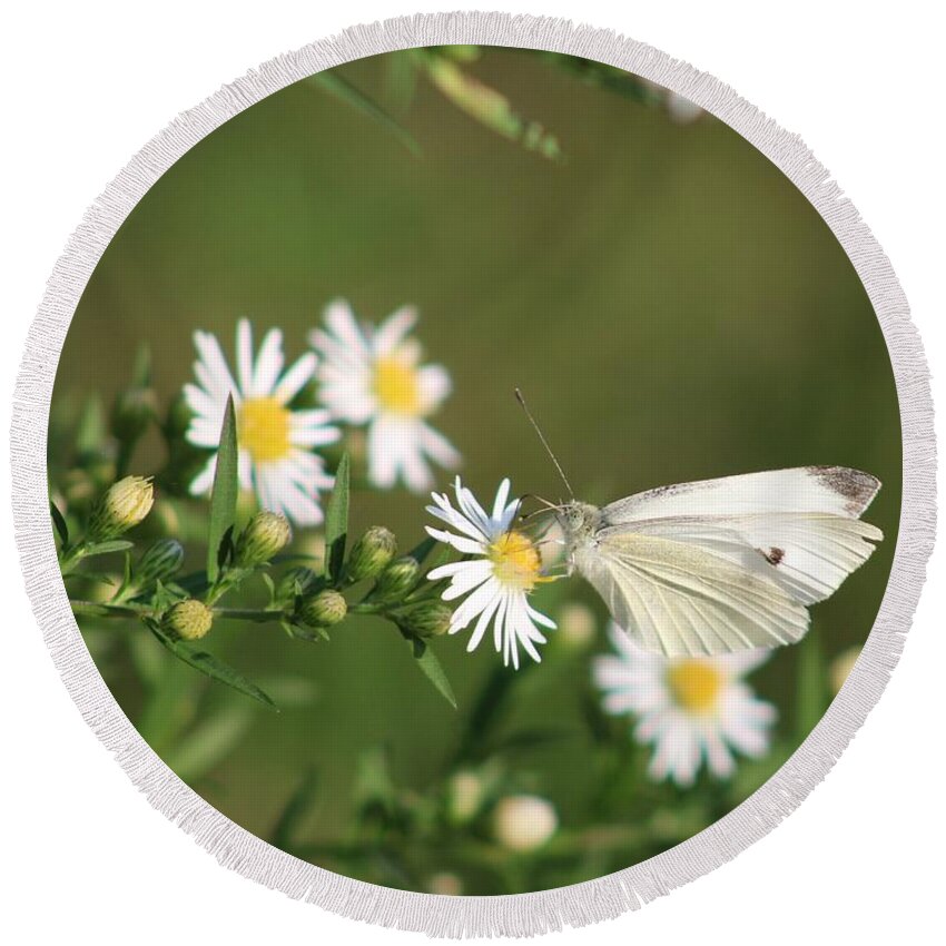 Butterfly Round Beach Towel featuring the photograph Cabbage Butterfly on Wildflowers by Christopher Reed