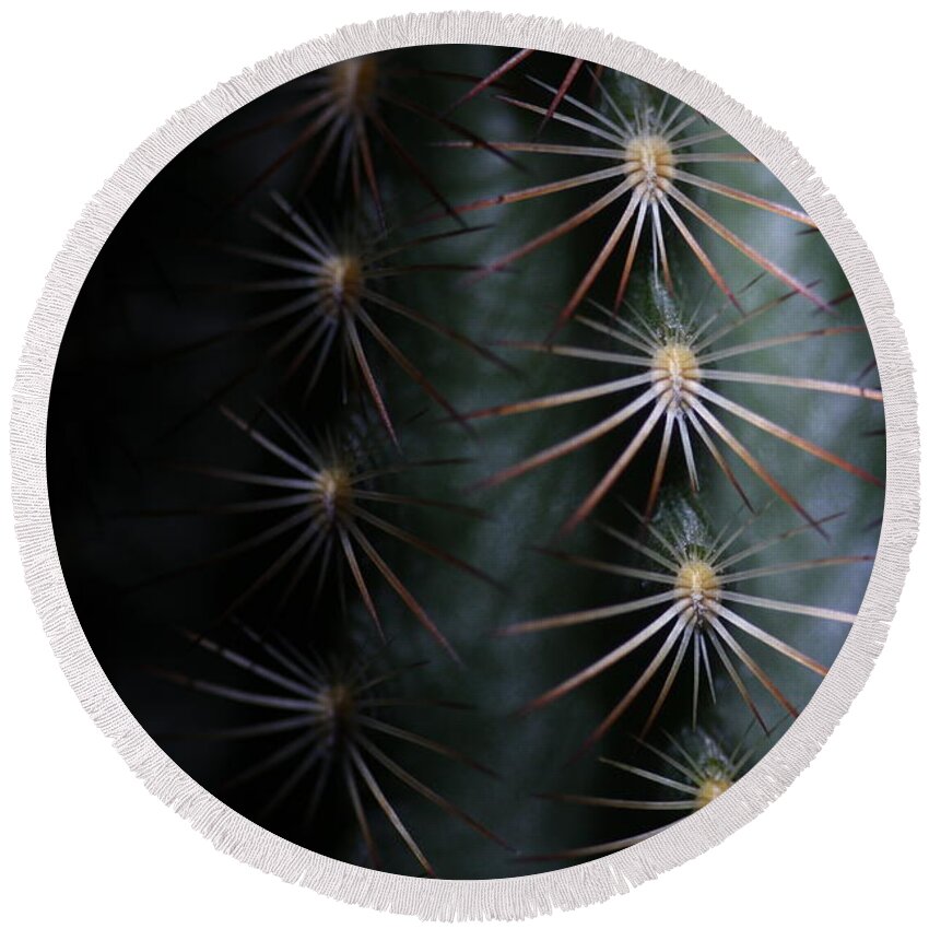 Cactus Round Beach Towel featuring the photograph Cactus 9536 by Julie Powell