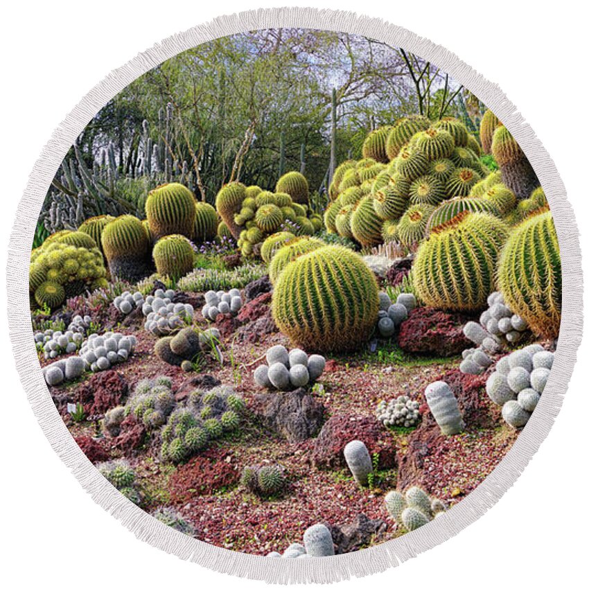 Cactus Round Beach Towel featuring the photograph Cactus Hill by Mike Hope by Michael Hope
