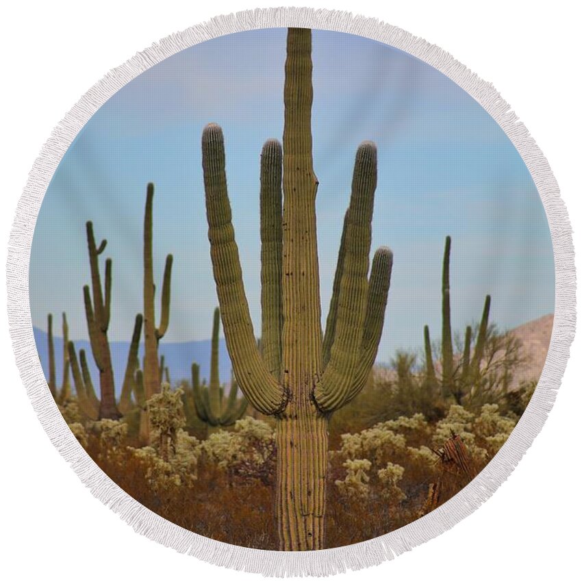 Cactus Round Beach Towel featuring the photograph Cactus Magic by Go and Flow Photos