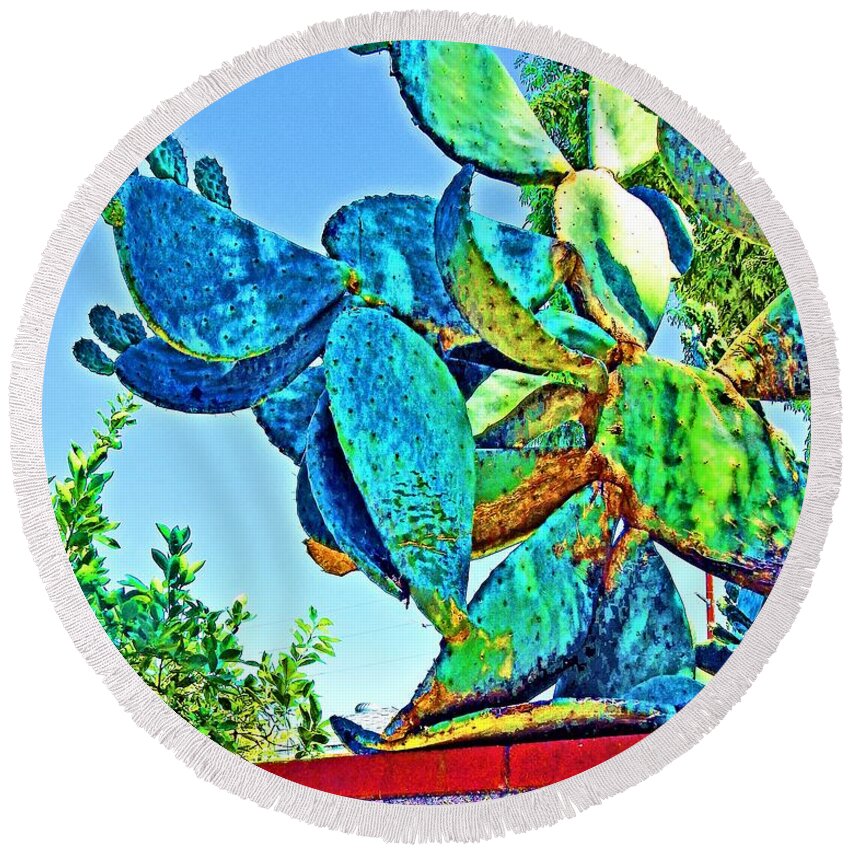 Cactus Round Beach Towel featuring the photograph Cactus On Wall by Andrew Lawrence