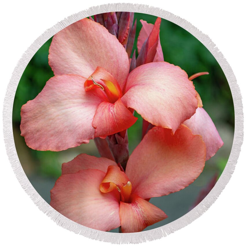 Canna Lily Round Beach Towel featuring the photograph Canna Lily Flowers by Lisa Blake