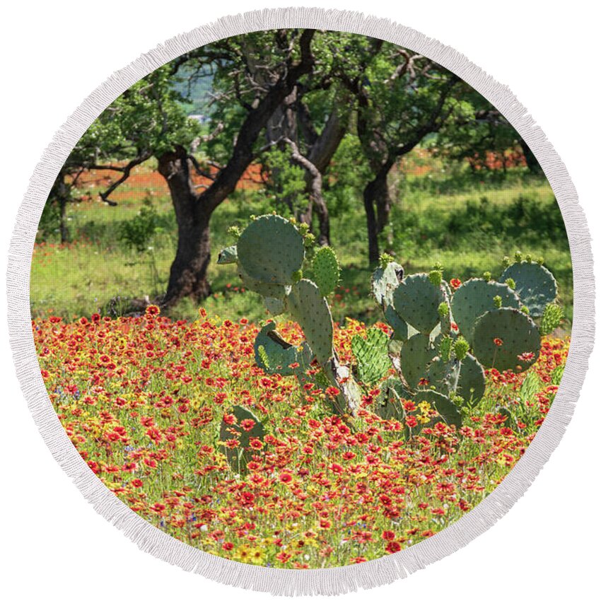 Texas Round Beach Towel featuring the photograph Catus in hill country flowers by Nathan Wasylewski