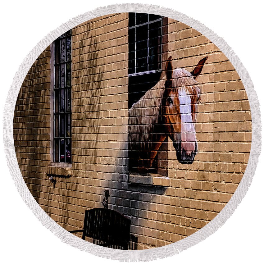 Marietta Georgia Round Beach Towel featuring the photograph Charleston Horse Mural by Tom Singleton