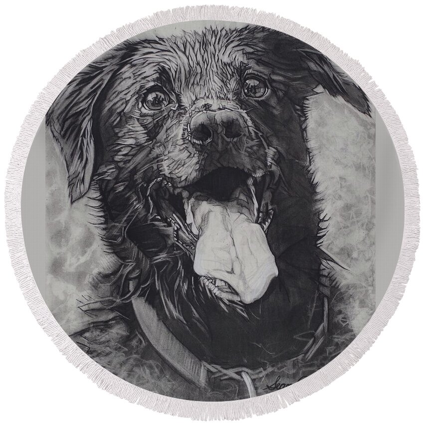 Charcoal Pencil Round Beach Towel featuring the drawing Charlie Dog by Sean Connolly