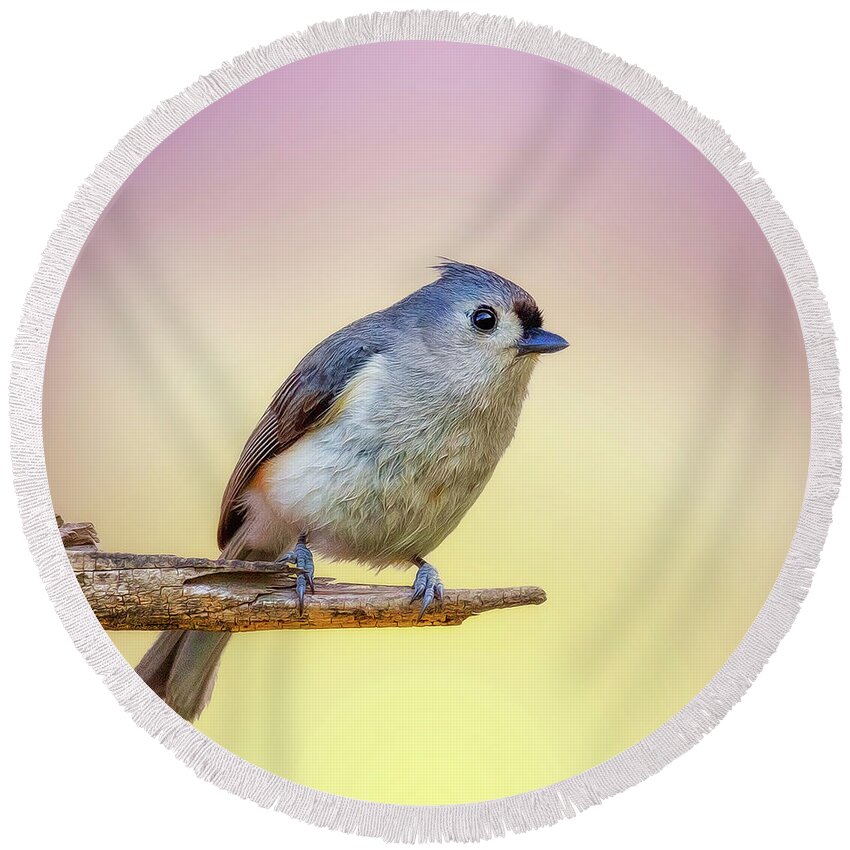Bird Round Beach Towel featuring the photograph Cheerful Tit by Bill and Linda Tiepelman