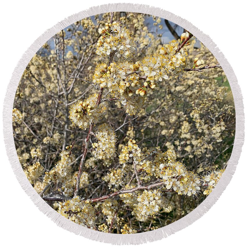 Cherry Creek Round Beach Towel featuring the photograph Cherry Creek Trail Spring 2021 Study 4 by Robert Meyers-Lussier