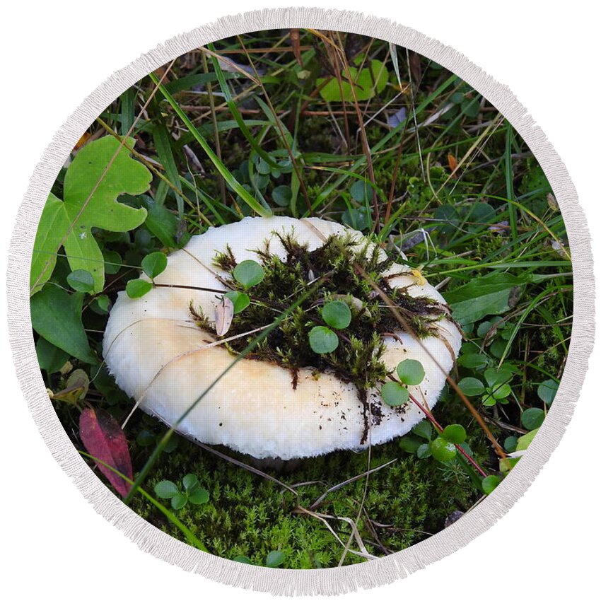 Mushroom Round Beach Towel featuring the photograph Chilcotin Forest Mushroom Garden by Nicola Finch