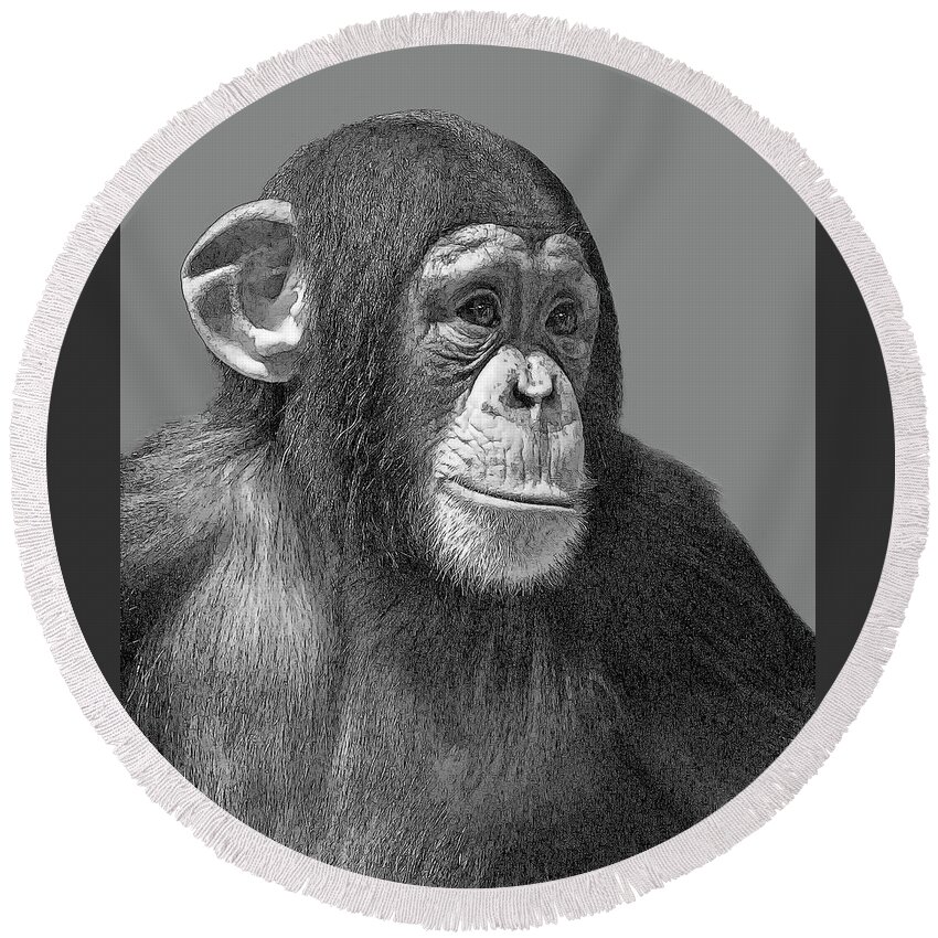 Chimpanzee Round Beach Towel featuring the photograph Chimp Portrait 6 by Larry Linton