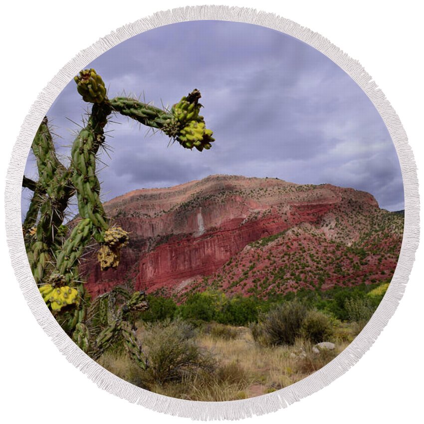 Jemez Mountains Round Beach Towel featuring the photograph Cholla by Segura Shaw Photography