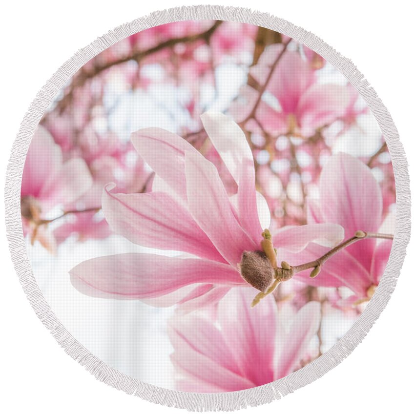 Magnolia Round Beach Towel featuring the photograph Close-up on Spring by Philippe Sainte-Laudy