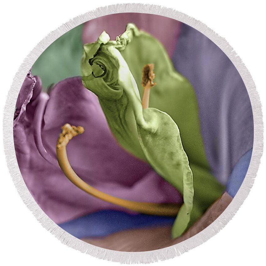 Lily Round Beach Towel featuring the photograph Colored LIly 3 by M Kathleen Warren
