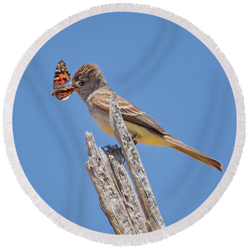 Ash-throated Flycatcher Round Beach Towel featuring the photograph Colorful Catch by Jurgen Lorenzen