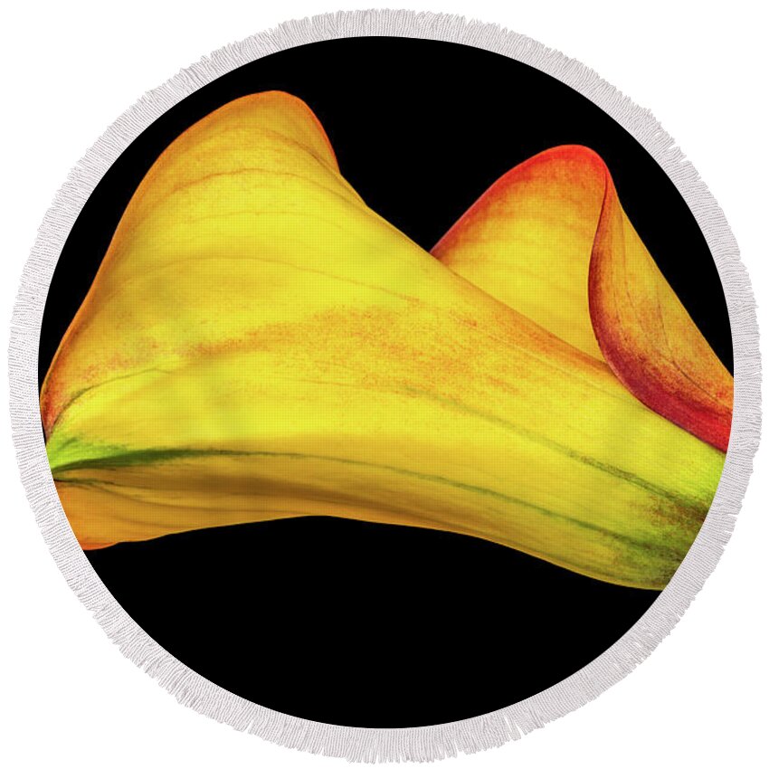 Calla Lily Round Beach Towel featuring the photograph Colorful Elegance by Elvira Peretsman