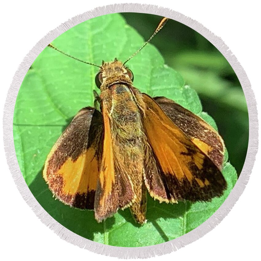 Skipper Round Beach Towel featuring the photograph Colorful Skipper by Catherine Wilson