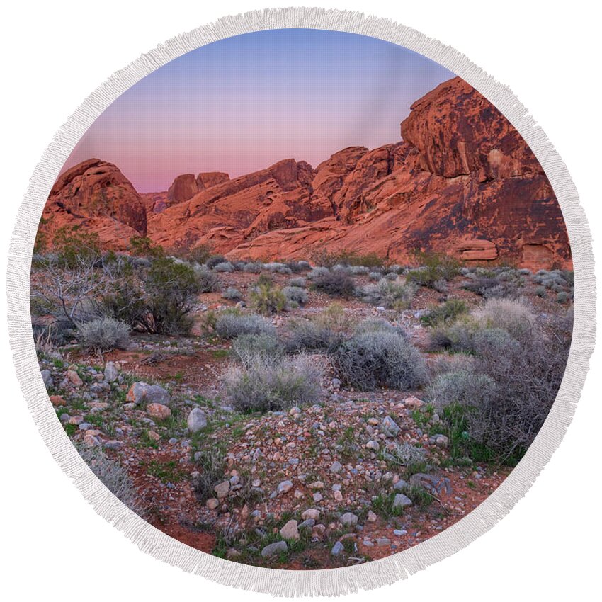 Ambrosia Dumosa Round Beach Towel featuring the photograph Colors of the Night Desert I by Marianne Campolongo