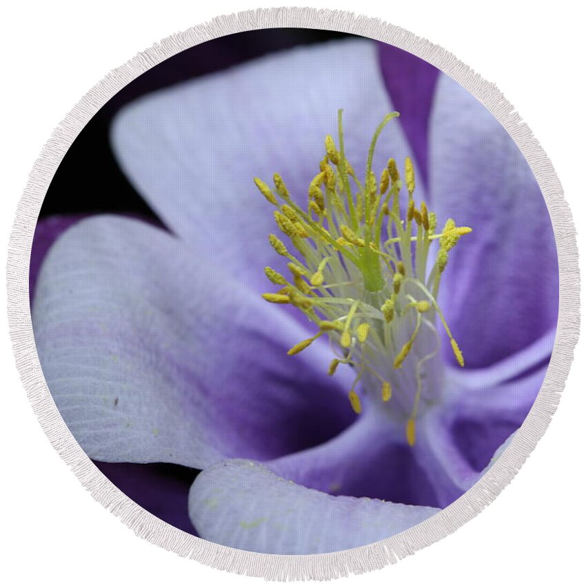 Macro Round Beach Towel featuring the photograph Columbine 764 by Julie Powell