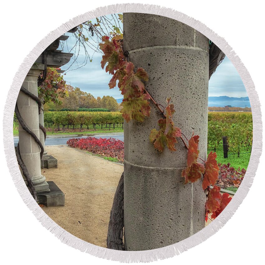 Autumn Round Beach Towel featuring the photograph Columns With Grapevine by Jonathan Nguyen