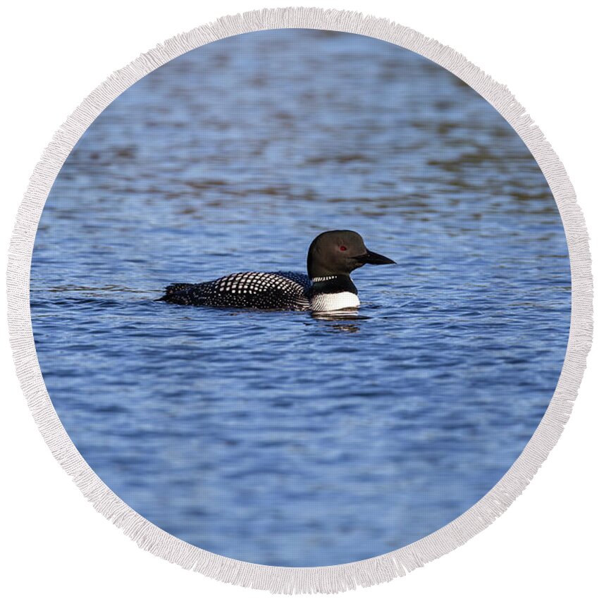 Common Loon Round Beach Towel featuring the photograph Common Loon 2019-7 by Thomas Young