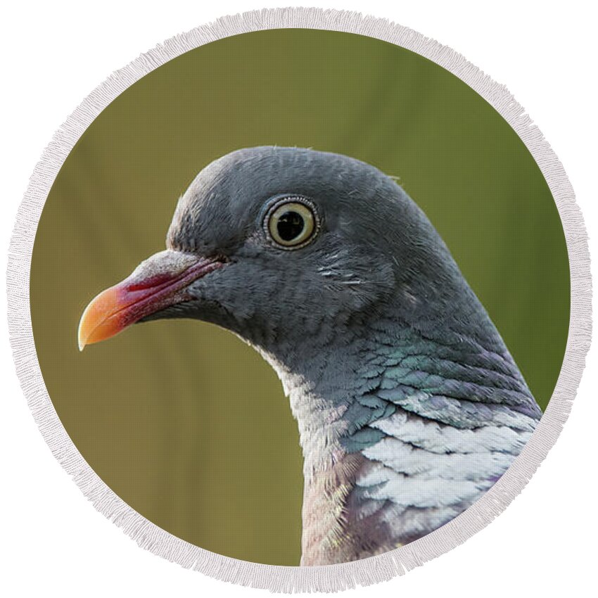 Common Wood Pigeon Round Beach Towel featuring the photograph Common Wood Pigeon s portrait by Torbjorn Swenelius