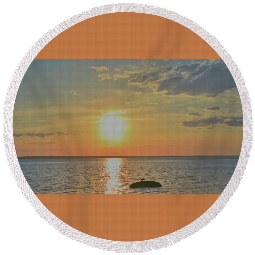 Colt State Park Round Beach Towel featuring the photograph Comorant in the Sun by Christina McGoran